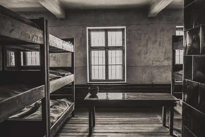 From Krakow: Auschwitz-Birkenau and Salt Mine with Private Transfer - Auschwitz and Wieliczka in One Long Day: Why This Works