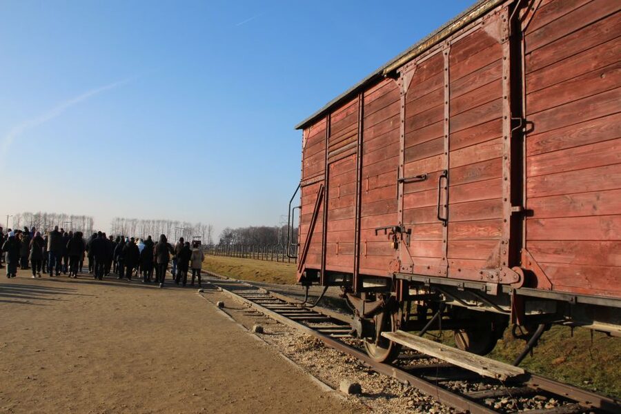 From Krakow: Auschwitz-Birkenau and Self-Guided Day Tour - Transport, ticket handling, and why “skip the line” still needs a reality check