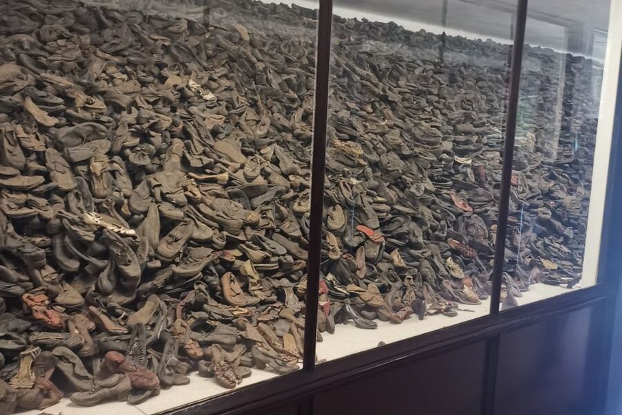 From Krakow: Auschwitz-Birkenau Camp Complex Guided Day Trip - Key things I’d watch for on this tour