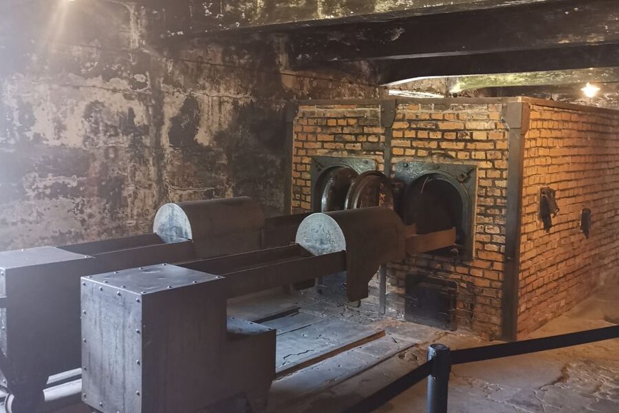 From Krakow: Auschwitz-Birkenau Camp Complex Guided Day Trip - Price and value: is $83 a good deal from Krakow?