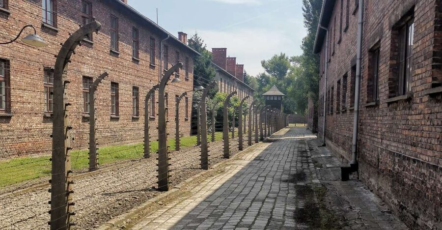 From Krakow: Auschwitz-Birkenau Camp Complex Guided Day Trip - Leaving Krakow early, getting there without fuss