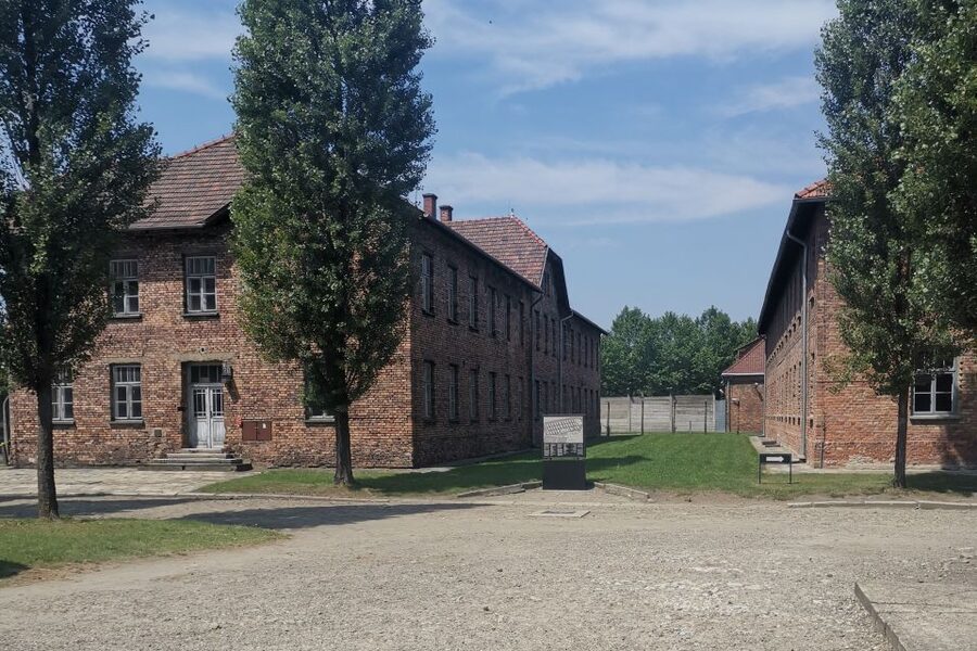 From Krakow: Auschwitz-Birkenau Camp Complex Guided Day Trip - Auschwitz I: the prisoner blocks and the belongings that force you to look