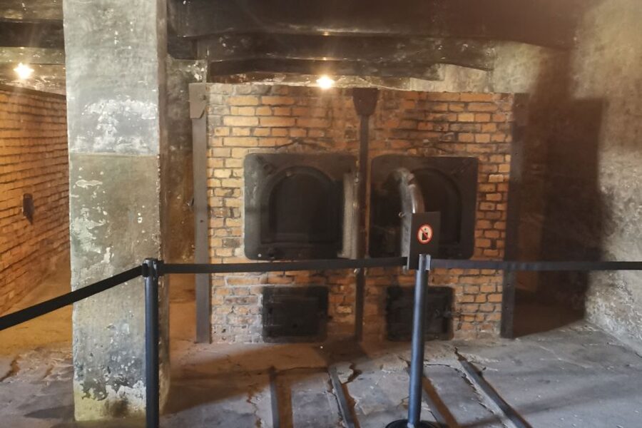 From Krakow: Auschwitz-Birkenau Camp Complex Guided Day Trip - Monowitz and everyday survival: the part most people miss