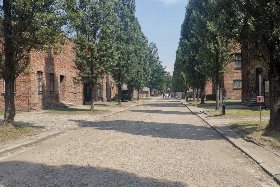 From Krakow: Auschwitz-Birkenau Camp Complex Guided Day Trip - Birkenau: gas chambers, crematoria, and memorial spaces for reflection