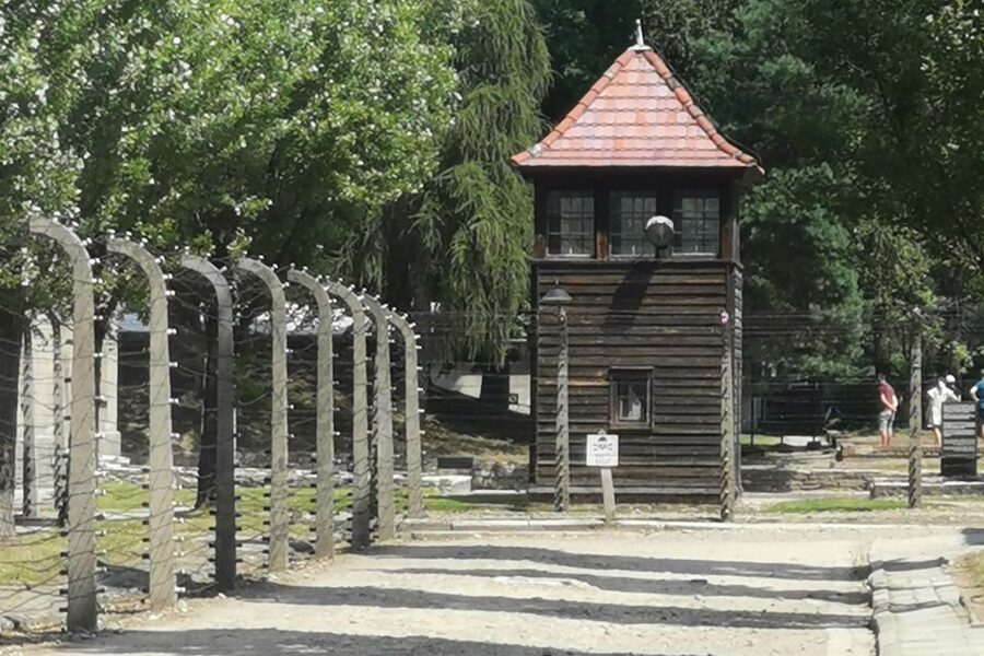 From Krakow: Auschwitz-Birkenau Camp Complex Guided Day Trip - What the 7-hour timeline really means for your day