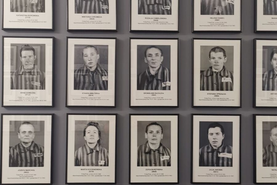 From Krakow: Auschwitz-Birkenau Camp Complex Guided Day Trip - Auschwitz drive and orientation: context before the gate