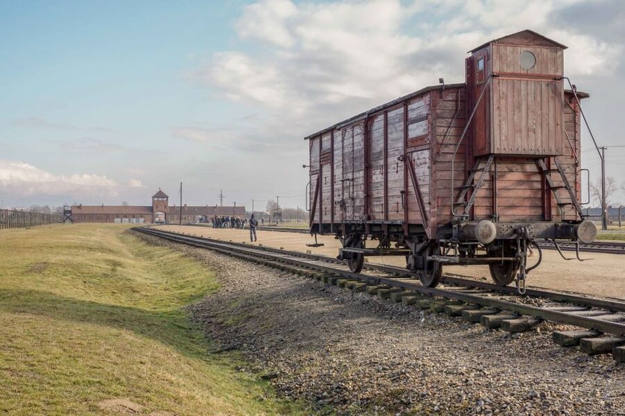 From Krakow: Auschwitz-Birkenau Full-Day Guided Tour - Who should book, and who should skip