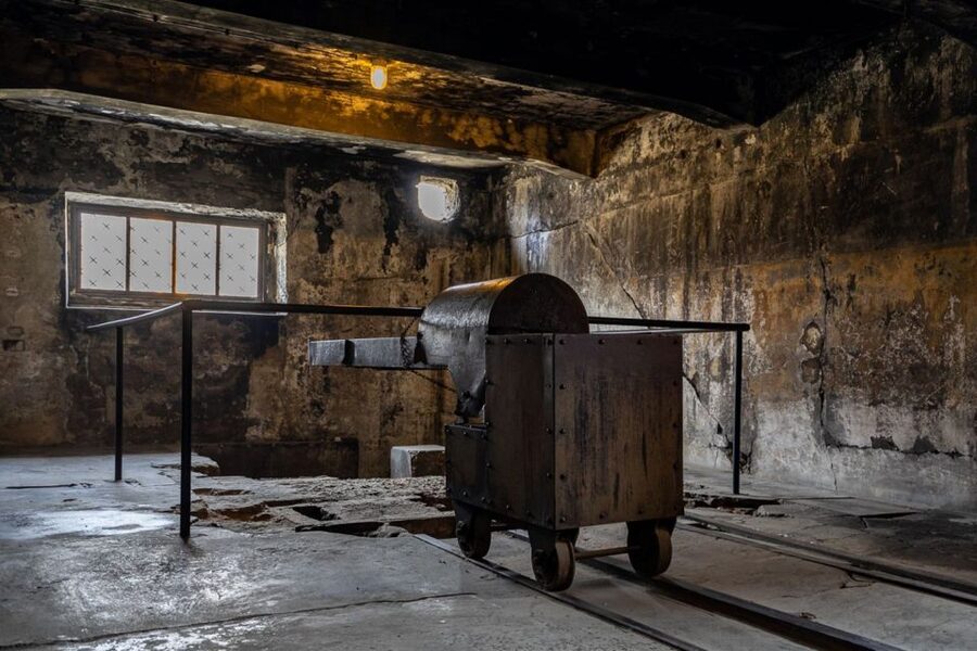From Krakow: Auschwitz-Birkenau Full-Day Guided Tour - Guides and headsets: what changes when someone leads the story