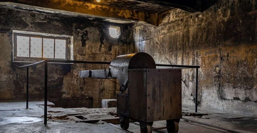 From Krakow: Auschwitz-Birkenau Full-Day Tour - Key things to know before you go