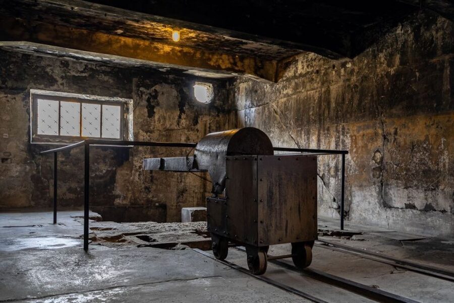 From Krakow: Auschwitz-Birkenau Full-Day Tour - Why Auschwitz I and Birkenau in one day works