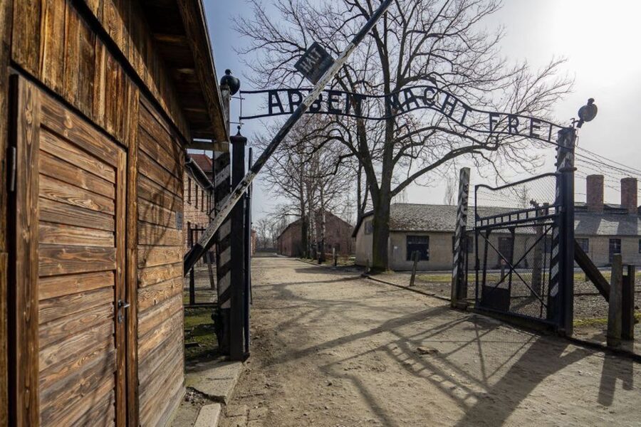 From Krakow: Auschwitz-Birkenau Full-Day Tour - Breaks, crowds, and how the pace really feels