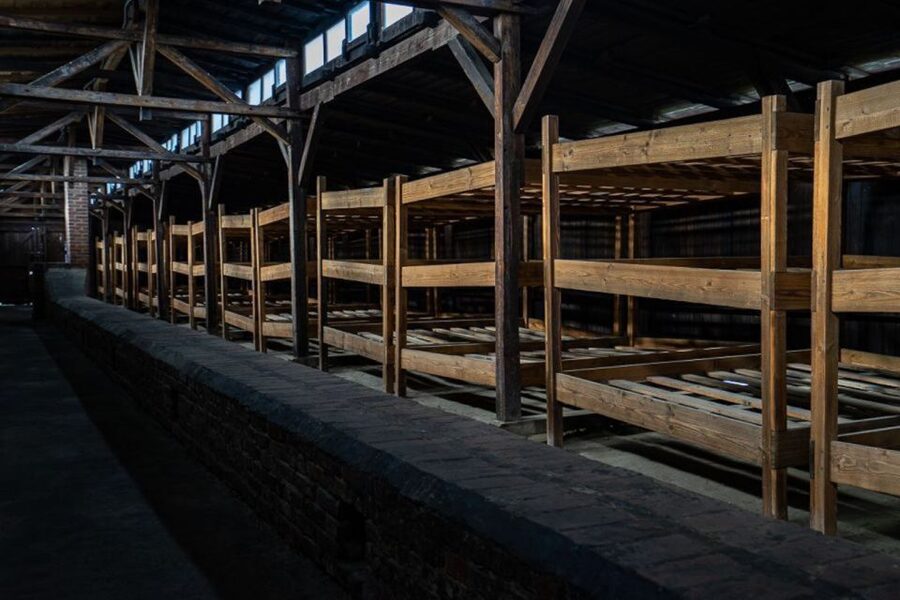 From Krakow: Auschwitz-Birkenau Full-Day Tour - Price and what $89 really includes
