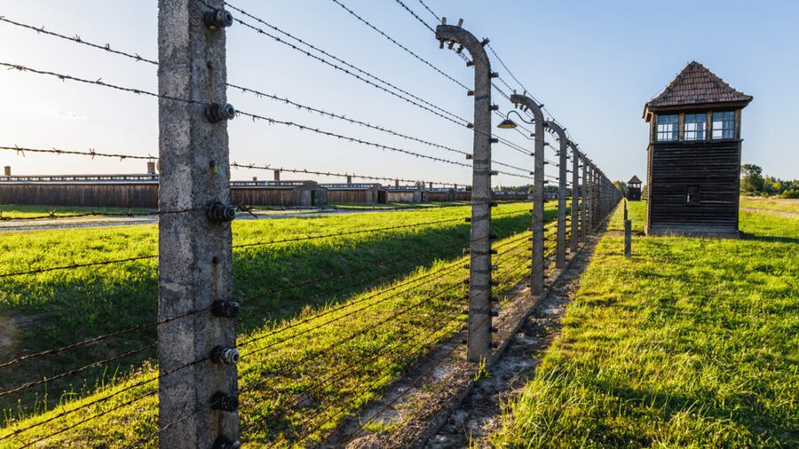 From Krakow: Auschwitz-Birkenau Guided Tour Guaranteed Time - Key points worth knowing before you go