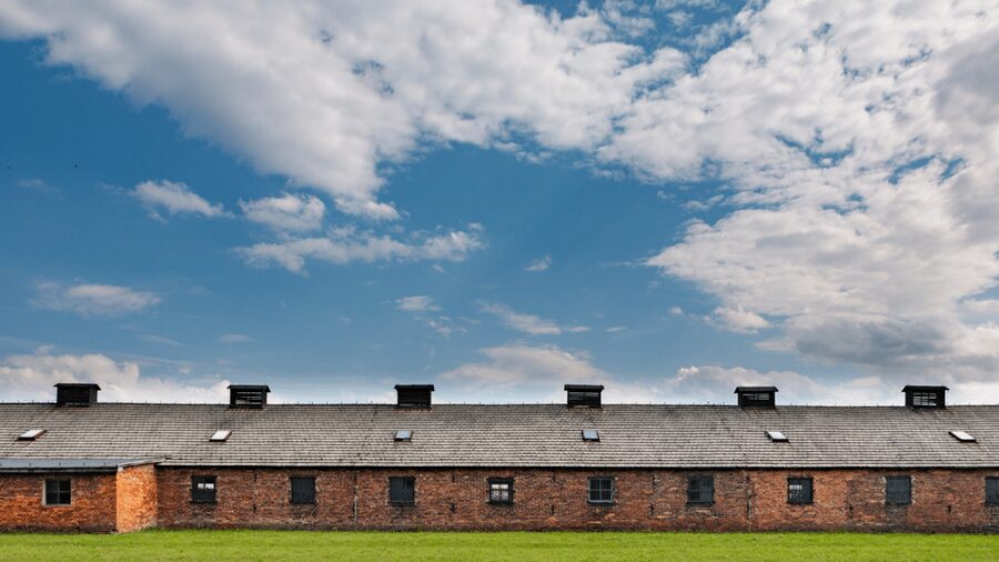 From Krakow: Auschwitz-Birkenau Guided Tour Guaranteed Time - Auschwitz I: the main gate, original barracks, and what the buildings teach