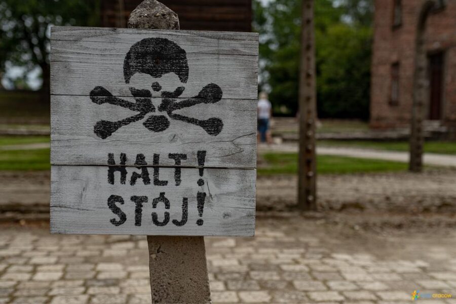 From Krakow: Auschwitz-Birkenau Guided Tour Guaranteed Time - The short break and coach ride: what you should do in the 10 to 15 minutes