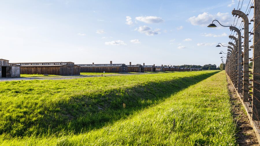 From Krakow: Auschwitz-Birkenau Guided Tour Guaranteed Time - Birkenau Auschwitz II: the bigger camp, the harsher scale, and the walk
