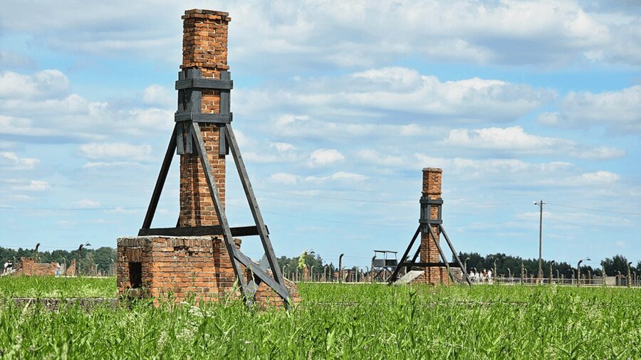 From Krakow: Auschwitz-Birkenau Guided Tour Guaranteed Time - The human factor: guides, organization, and communication that reduces stress