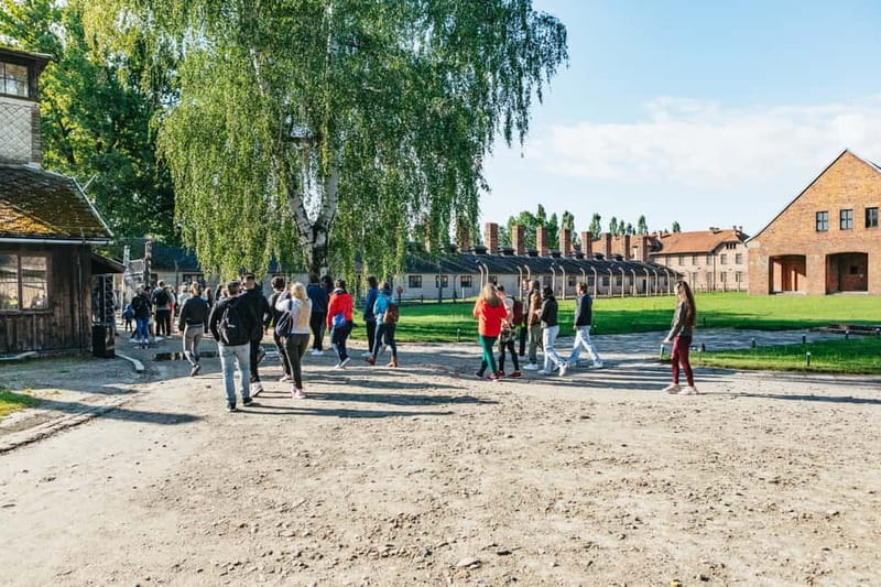 From Krakow: Auschwitz-Birkenau Guided Tour & Hotel Pickup - What to Bring (and What Gets Left Behind at the Museum)