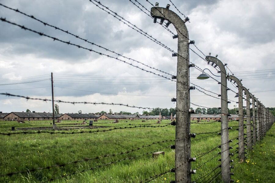 From Krakow: Auschwitz-Birkenau Guided Tour & Hotel Pickup - Guides in the driver’s seat, from bus talk to on-site respect