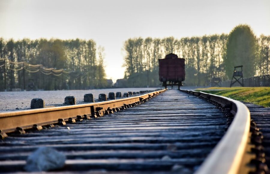 From Krakow: Auschwitz-Birkenau Guided Tour & Pickup - The Moment Guides Add: Train Carriages, Listening Pace, and Respect