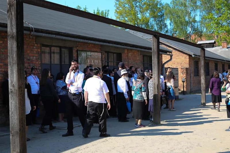 From Krakow: Auschwitz-Birkenau Guided Tour & Pickup Options - Ground Travel and Logistics: Pickup Time Shifts, Bag Limits, and Comfort