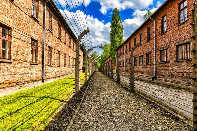 From Krakow: Auschwitz-Birkenau Guided Tour & Transport - Key things you’ll notice on this Auschwitz-Birkenau day trip