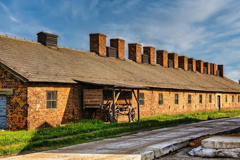 From Krakow: Auschwitz-Birkenau Guided Tour & Transport - A somber, well-run Auschwitz day trip from Krakow