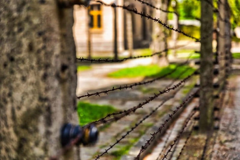 From Krakow: Auschwitz-Birkenau Guided Tour & Transport - Auschwitz II-Birkenau guided tour: scale, remains, and the hardest visuals