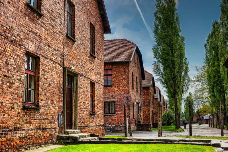 From Krakow: Auschwitz-Birkenau Guided Tour & Transport - Tour leader support and what “official guide” means for your experience