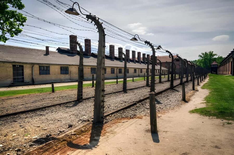 From Krakow: Auschwitz & Birkenau Guided Tour with Pick up - Price and what you actually get for $89