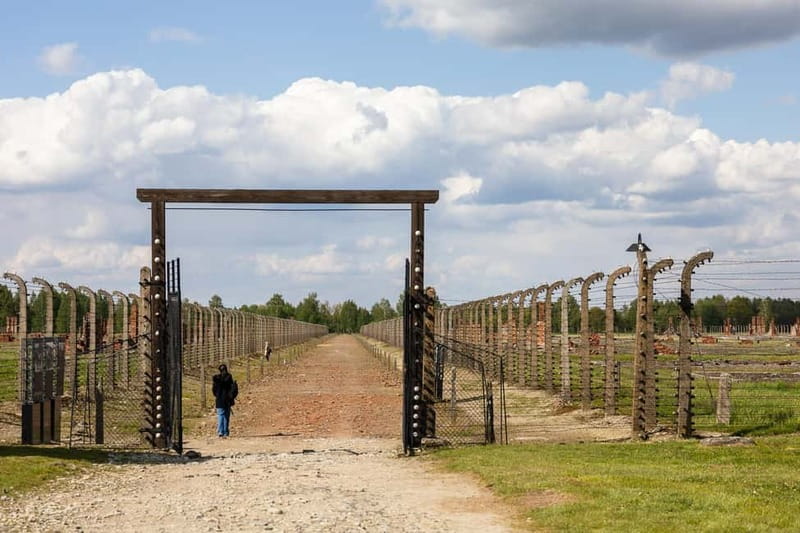 From Krakow: Auschwitz-Birkenau Guided Tour with Transport - Who This Tour Fits Best, and Who Might Be Happier Elsewhere