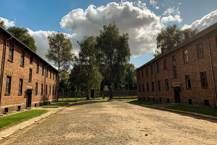 From Krakow: Auschwitz-Birkenau Memorial and Museum Tour - Auschwitz II-Birkenau: watchtower remains, fences, barracks, and gas chambers