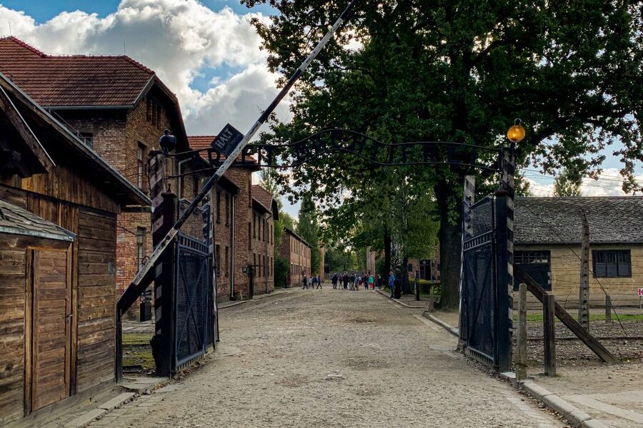 From Krakow: Auschwitz-Birkenau Memorial and Museum Tour - Your comfort and survival kit: shoes, snacks, and rules you must plan for
