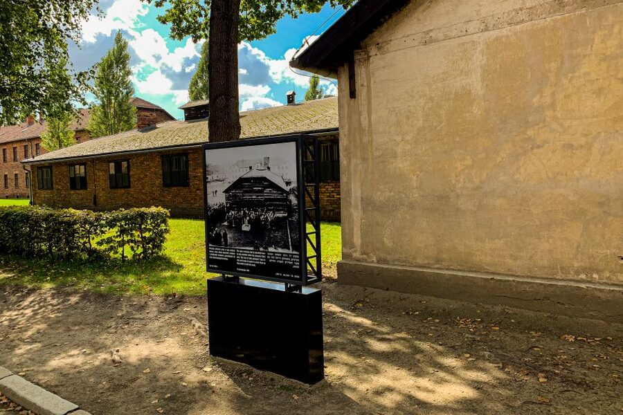 From Krakow: Auschwitz-Birkenau Memorial and Museum Tour - Price and value for a 7-hour guided Auschwitz-Birkenau day