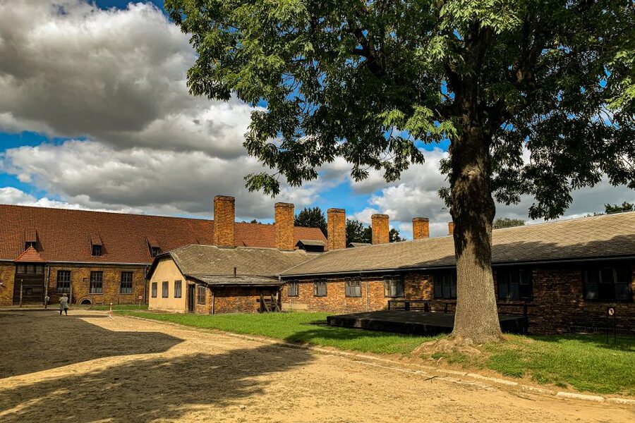 From Krakow: Auschwitz-Birkenau Memorial and Museum Tour - Guides, languages, and the tone you should expect