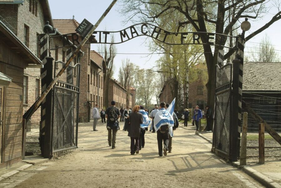 From Krakow: Auschwitz-Birkenau Memorial and Museum Tour - Auschwitz I: dormitories, exhibitions, and the Nazi machinery in focus
