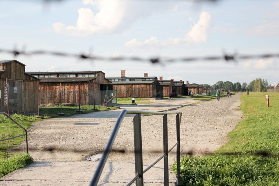 From Kraków: Auschwitz-Birkenau Memorial Guided Tour - Key things that make this tour work