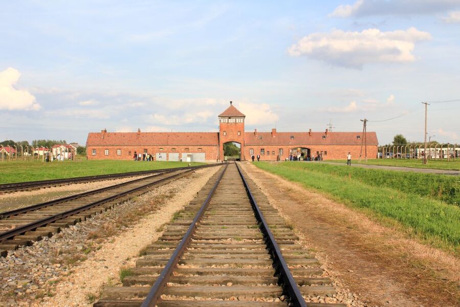 From Kraków: Auschwitz-Birkenau Memorial Guided Tour - Inside the Memorial: The Sites You Will See and What They Communicate