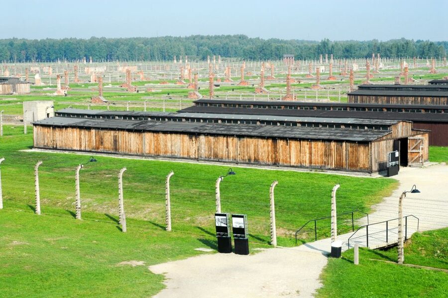 From Kraków: Auschwitz-Birkenau Memorial Guided Tour - Dress Code, ID Matching, and Rules That Affect Entry