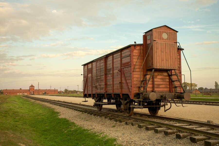 From Kraków: Auschwitz-Birkenau Memorial Guided Tour - Practical Reality Check: The Tone and Time Commitment