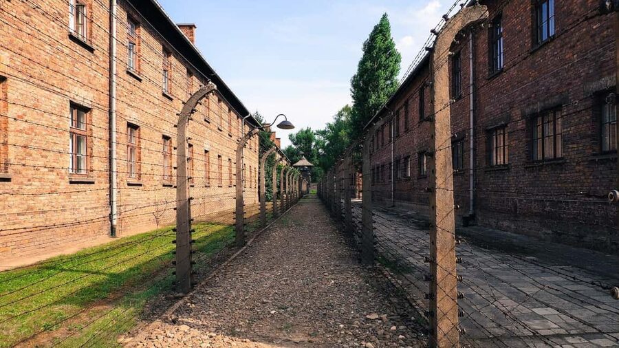 From Krakow: Auschwitz-Birkenau Memorial Private Tour - What you should bring and what to avoid at the memorial
