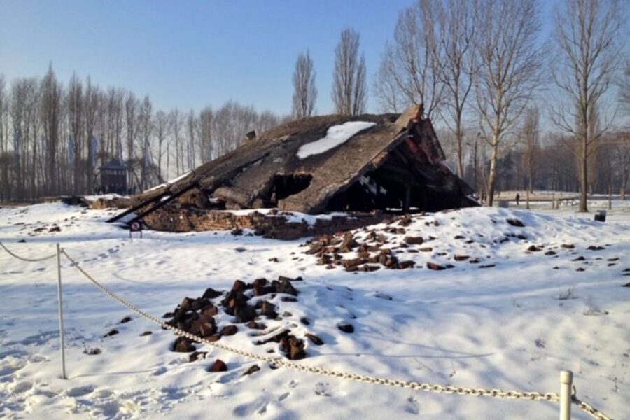 From Krakow: Auschwitz-Birkenau Private or Shared Tour - Who This Tour Works Best For (and Who Might Want to Rethink It)