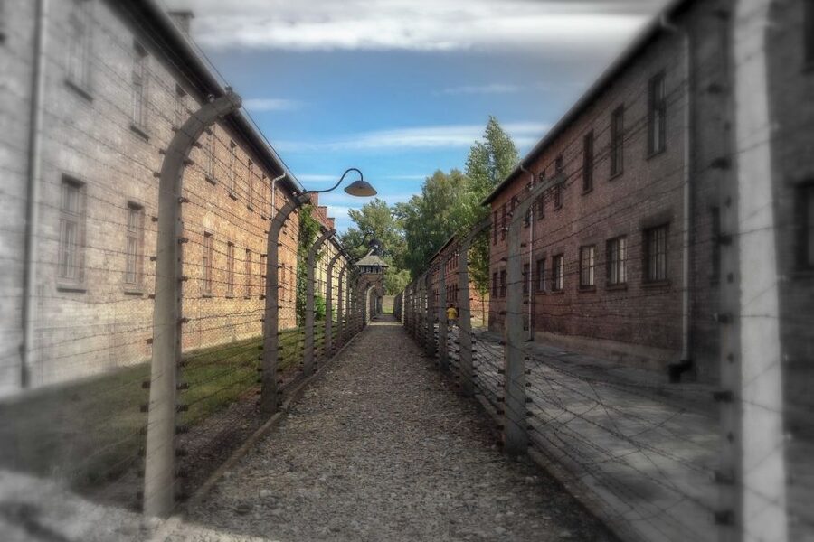 From Krakow: Auschwitz-Birkenau Private or Shared Tour - Auschwitz II-Birkenau in One Hour: How to See Scale Without Feeling Rushed