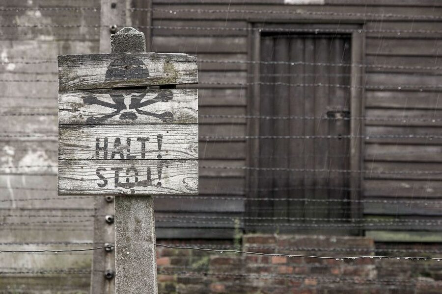 From Krakow: Auschwitz-Birkenau & Schindler's Factory Tour - Auschwitz-Birkenau: Guided Time That Actually Keeps You Oriented