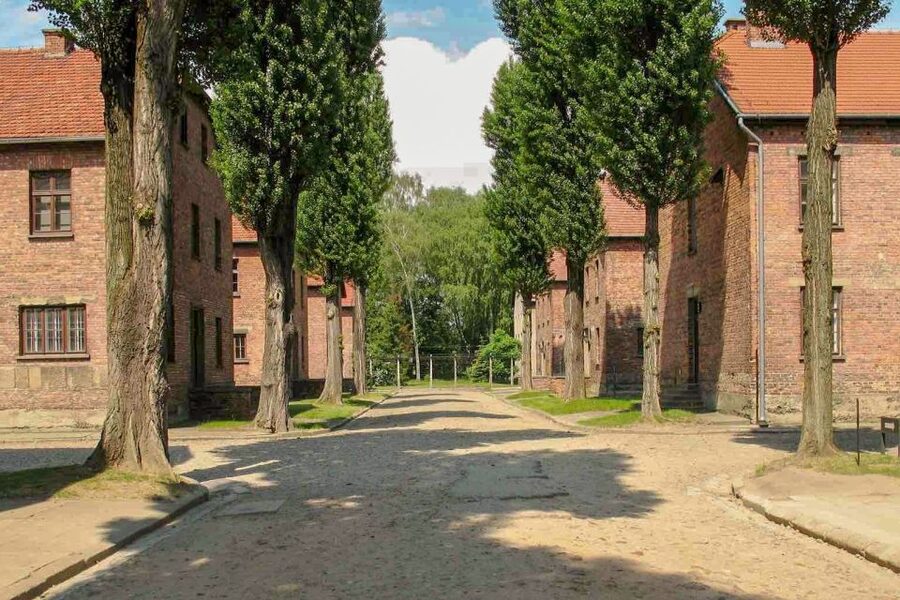 From Krakow: Auschwitz-Birkenau & Schindler's Factory Tour - Podgórze Break: Use It Smart for Lunch and Reset