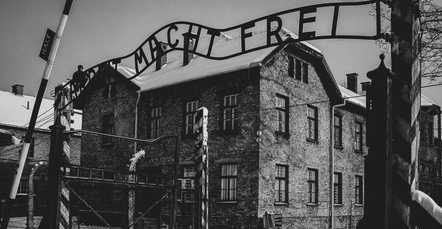 From Krakow: Auschwitz Birkenau Self-Guided Tour - Key things that make this trip work