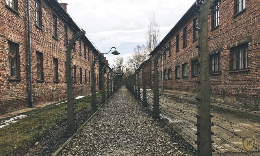 From Krakow: Auschwitz Birkenau Self-Guided Tour - Pickup logistics from Krakow: timing matters more than you think