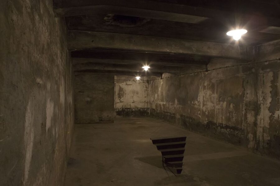 From Krakow: Auschwitz-Birkenau Tour - Auschwitz-Birkenau from Krakow: what you’re really signing up for