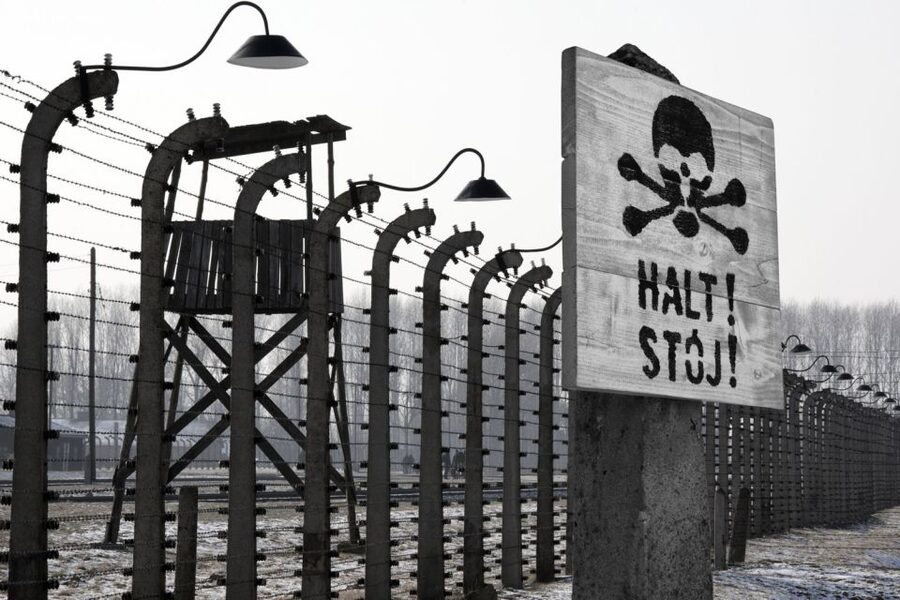From Krakow: Auschwitz-Birkenau Tour - Skip-the-line entry and transport: small logistics, big impact