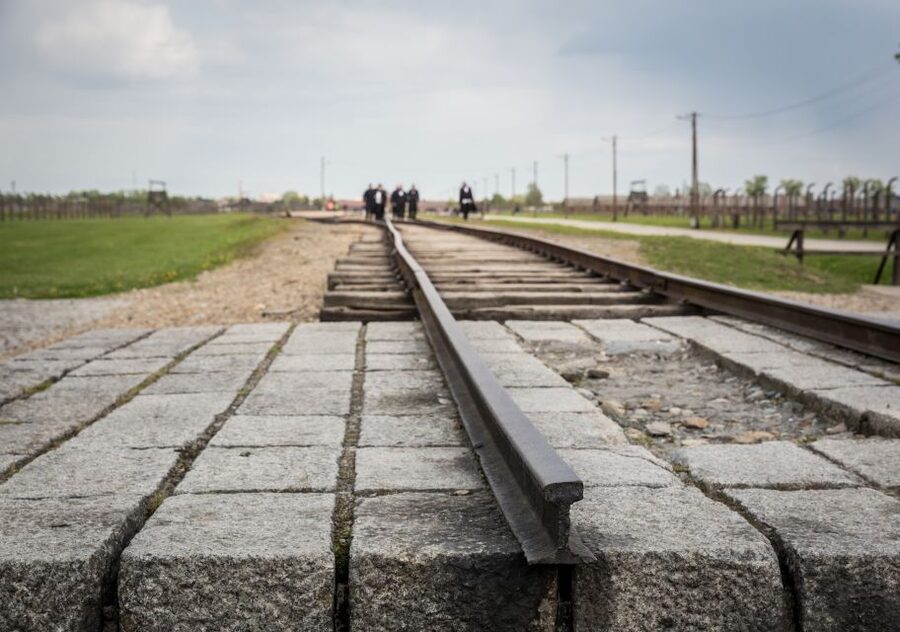 From Krakow: Auschwitz Birkenau Tour with Transfer - Getting your admissions and orientation: how the self-guided brochure plan works